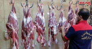 السورية للتجارة بدمشق: زيادة كميات الخضار واللحوم والبيض وطرحها بأسعار مخفضة