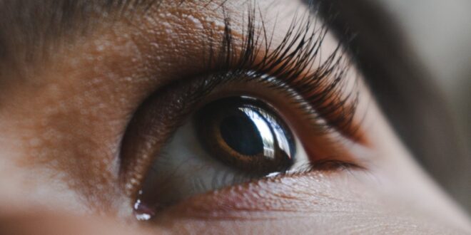 5 مشاكل خطيرة تصيب العين مع التقدم في العمر.. تعرف عليها وكيفية الوقاية منها