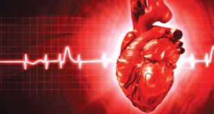 حقائق مذهلة عن طريقة عمل القلب وكيفية ضخّ الدم