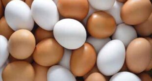 مؤسسة الدواجن تتوقع استمرار ارتفاع أسعار البيض