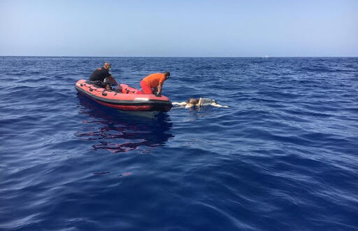 العثور على جثمان سوري جديد من ضحايا قارب الموت إلى قبرص