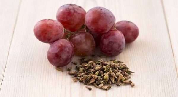 فوائد بذور العنب لصحة الجسم..سيذهلك التعرف عليها