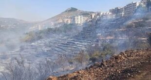 حافظ طرطوس : 3972 أسرة تضررت بشكل مباشر و الحرائق طالت أكثر من نصف مليون شجرة