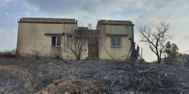القرداحة تتصدر قائمة المناطق المتضررة من الحرائق في اللاذقية