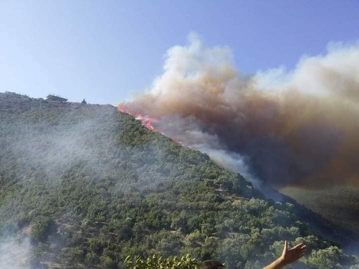 أكبرها في منطقة مشتى الحلو .. اندلاع 55 حريقاً في طرطوس