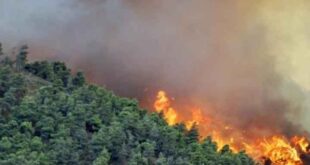 انضمام منطقتي بللوران والبسيط و وادي قنديل لسلسلة الحرائق الضخمة منذ الصباح