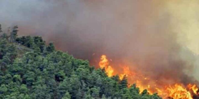 انضمام منطقتي بللوران والبسيط و وادي قنديل لسلسلة الحرائق الضخمة منذ الصباح