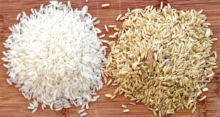 الأرز البني أم الأبيض.. تعرف على أيهما أفضل لصحتك