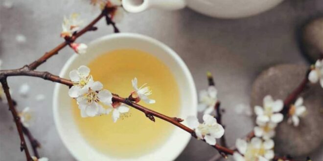 اشربوا الشاي الأبيض وتنعّموا بفوائده المذهلة!