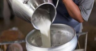 هيئة تنمية الصادرات: تصدير الحليب لا يؤثر على أسعاره محلياً