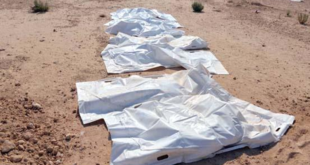 سيتم تحديد هويتهم بالـ DNA.. العثور على رفات 7 جثامين شمال حماة
