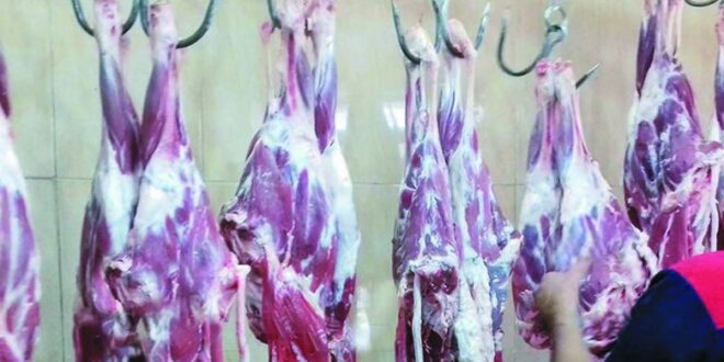 السورية للتجارة تطرح مادة اللحوم بـأسعار جديدة