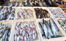 ارتفاع خيالي بأسعار الأسماك في اللاذقية.. ومصدر مسؤول يبرر: السبب “قرار محروقات”