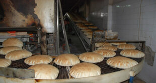 214 ليرة تكلفة إنتاج كيلو الخبز في القطاع الخاص