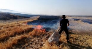 تركيا تحرق عشرات الهكتارات من القمح والشعير في ريف حلب