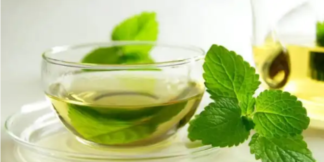 جسمك إذا شربت الشاي الأخضر كل يوم