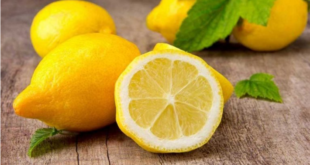 نصائح لمعرفة الليمون الغني بالعصير قبل شرائه