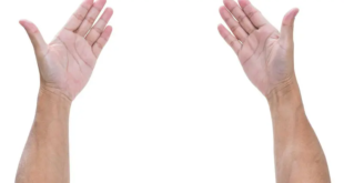 ماذا يكشف طول أصابع يدك عن شخصيتك