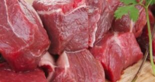 جمعية اللحامين: نتوقع انخفاض أسعار لحم الخروف