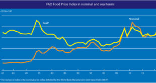 انخفاض اسعار الحبوب والالبان والزيوت في تموز