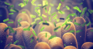 كيفية زيادة البكتيريا النافعة في الأمعاء