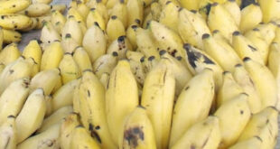 تاجر في سوق الهال: حتى لو وصل الموز لـ50 ألف ل.س هناك من يشتريه