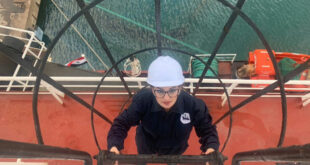 مهندسة سورية تنجز أول رحلة في مهنة النقل البحري على متن “لاواديسا”
