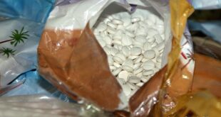 السلطات السورية تحبط تهريب شحنة مخدرات ضمن مواد معدة للتصدير إلى السعودية