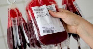منها فئات نادرة.. هل تعلم أن هناك 380 فصيلة دم؟
