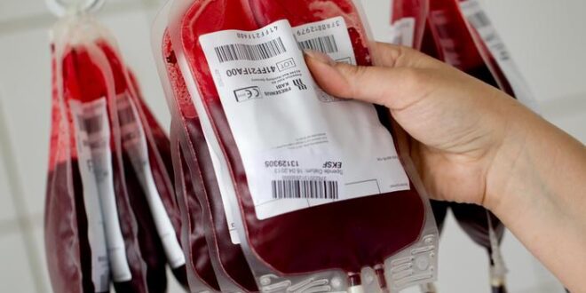 منها فئات نادرة.. هل تعلم أن هناك 380 فصيلة دم؟