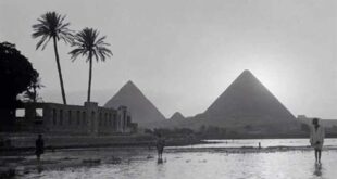 مصر قبل 95 مليون سنة... فيديو يرصد أشياء لا يصدقها عقل