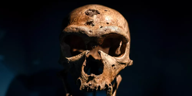 نوع من البشر كان يعيش قبل 500 ألف عام