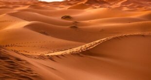 سوداني يعلق بصحراء سعودية ليومين.. وهذا ما حدث