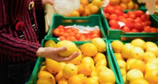 روسيا تحظر استيراد الليمون من تركيا