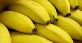 الموز الفاكهة الأكثر إشعاعا وفقا لخبراء