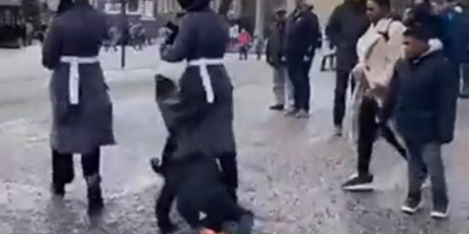 بالفيديو.. الحرس الملكي البريطاني يمشي فوق طفل وقع على الأرض