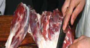 توقعات بارتفاع أسعار اللحوم الحمراء قليلا