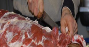 جمعية اللحامين: الأعياد لن ترتفع أسعار اللحوم