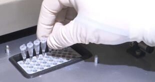 لأول مرة في العالم..علماء روس يصنعون "بكتين" لتنظيف جسم الإنسان من السموم
