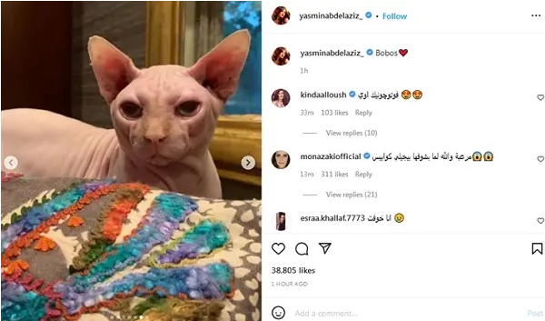ياسمين عبد العزيز تكشف عن قطتها الأغلى في العالم