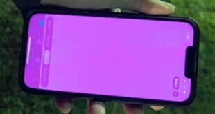تحديث طارئ لإنقاذ آلاف هواتف آيفون من مشكلة "الشاشة الوردية"!