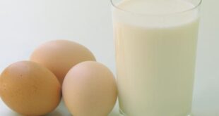 ماذا يحدث عند مزج البيض مع الحليب؟