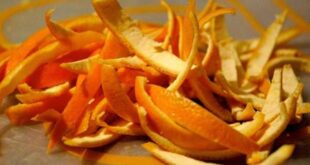 فوائد قشر البرتقال الصحية والجمالية