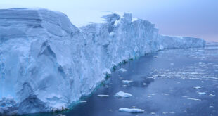 تغير يثير دهشة العلماء في درجة حرارة القطب الجنوبي.. أدفأ 40 درجة مئوية لأول مرة في تاريخه
