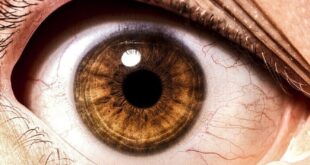 حالة العين تكشف أوضاع أعضاء الجسم الأخرى