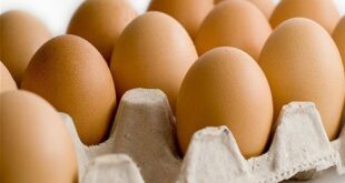طبق البيض يصل لحدود 14 ألف ليرة في أسواق دمشق