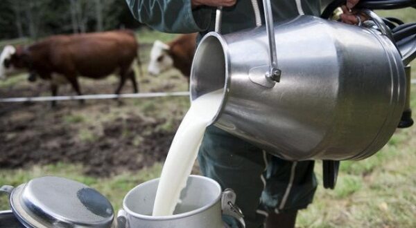 الحليب يسابق الخضار والفواكه في ارتفاع الأسعار