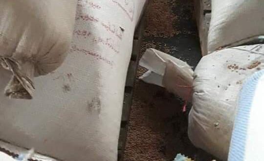 الحشرات تظهر فساد في مشتريات لـ السورية للتجارة