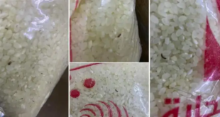 السورية للتجارة توزع الرز مع “حشرات