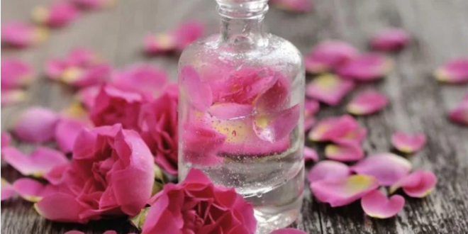 فوائد كثيرة لشرب ماء الورد